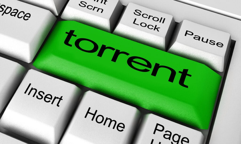 VPN for torrenting in 2024